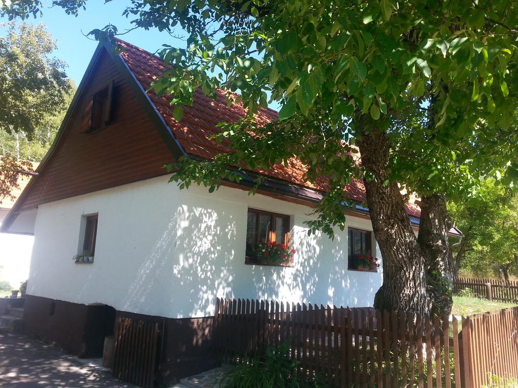 Holiday Home Rizvan City Brusane Zewnętrze zdjęcie
